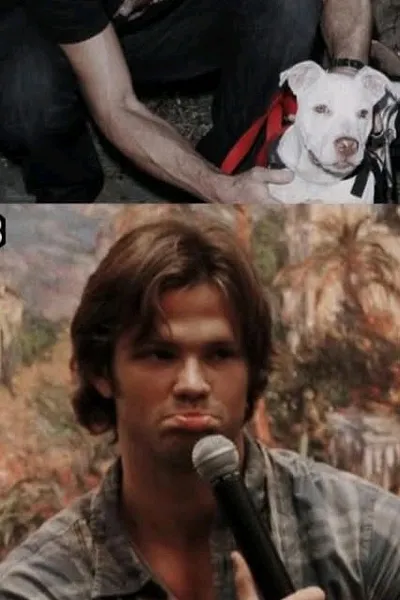 Jared Padalecki background