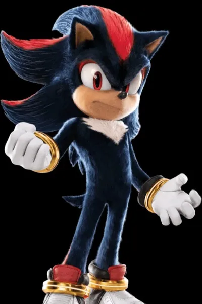 Shadow the Hedgehog pozadí