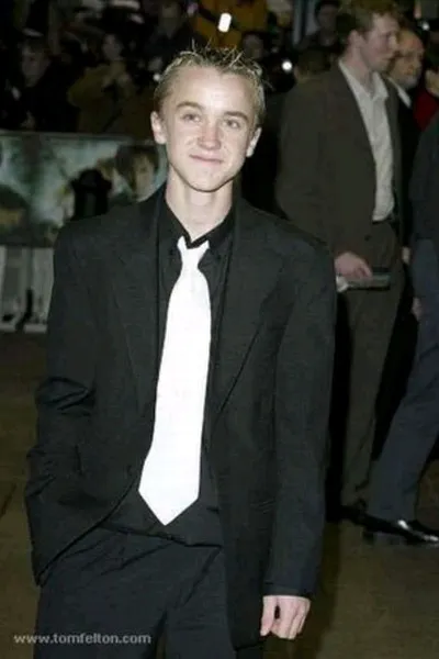 φόντοΔράκος ΜΑΛΦΟΪ 