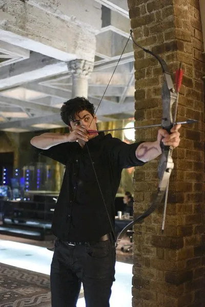 Latar belakang Alec Lightwood